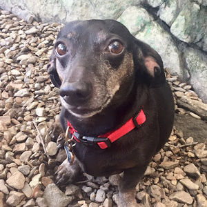 Meet your Posher, Elle